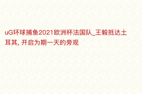 uG环球捕鱼2021欧洲杯法国队_王毅抵达土耳其, 开启为期一天的旁观