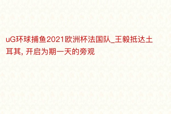 uG环球捕鱼2021欧洲杯法国队_王毅抵达土耳其， 开启为期一天的旁观